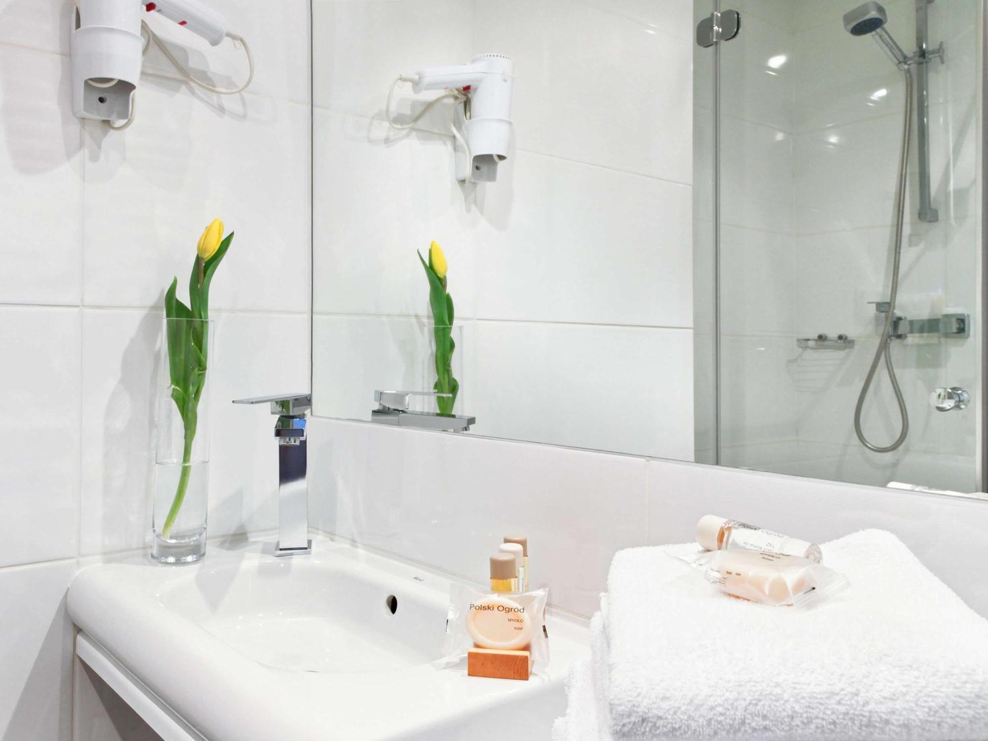 Hotel Ibis Styles Biala Bielsko-Biala