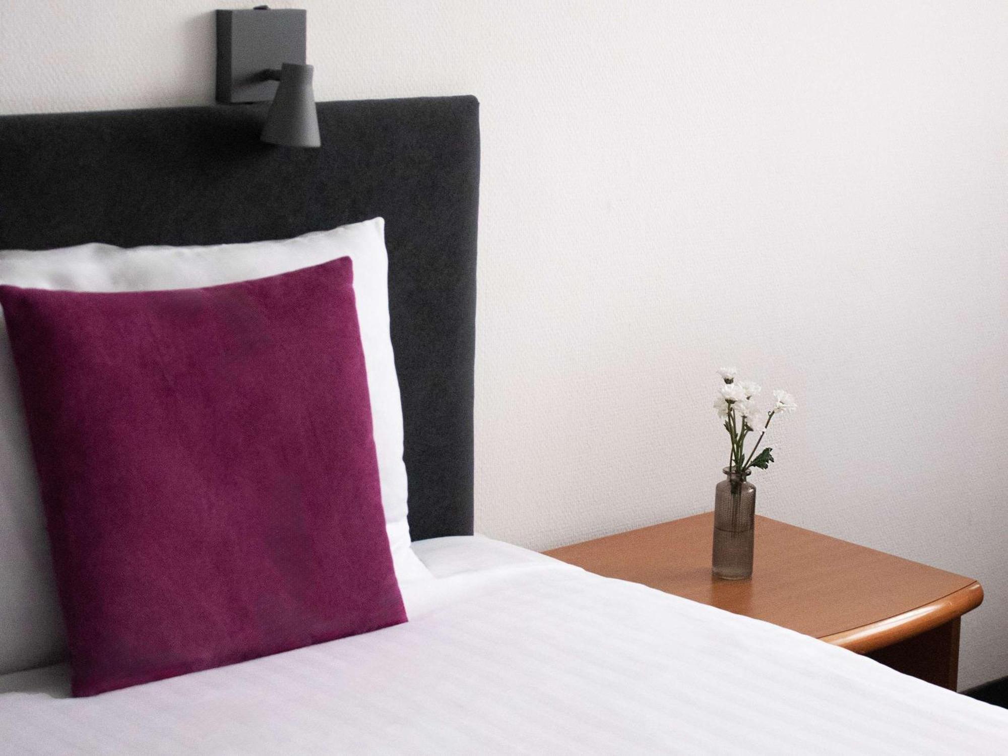 Hotel Ibis Styles Biala